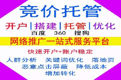百度竞价运营的挑战与机遇：成功案例探讨